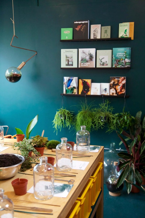 Through the glass with Emma of London Terrariums.
